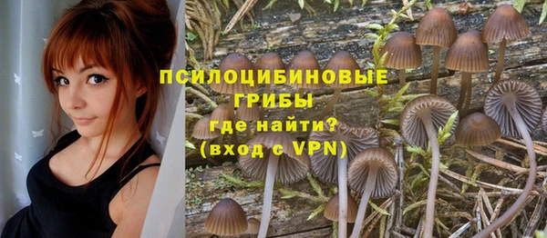 прущая мука Алзамай