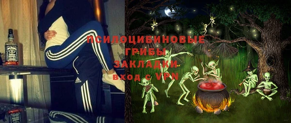 метадон Алексин