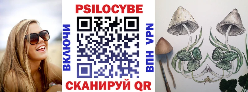 Псилоцибиновые грибы прущие грибы  OMG маркетплейс  Тосно 